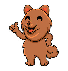 Cute Little Pomeranian Dog Cartoon Giving Thumb Up