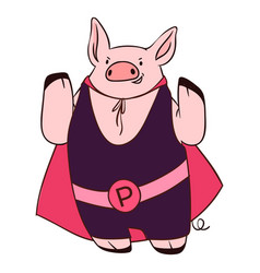 Pig Superhero Cartoon