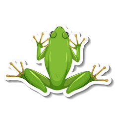 A Sticker Template With Top View Green Frog