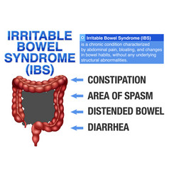 Irritable Bowel Syndrome Ibs Infographic