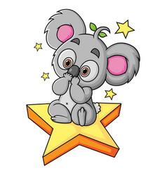 Koala Is Happy Looking The Stars And Sitting