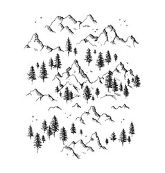 Set Of Hand Drawn Mountains And Pine Trees