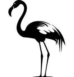 Flamingo - Black And White