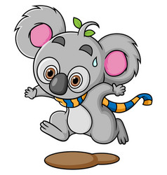 Koala Is Running Away Very Fast And Feeling