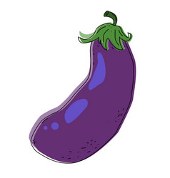 Eggplant Vegetable