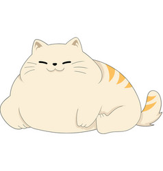 Fat Cat Is Relaxing Lying Down Of A Happy Pet