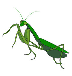 Cartoon praying mantis on leaf Royalty Free Vector Image