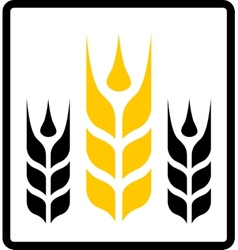 Isolated Wheat And Darnel Symbol