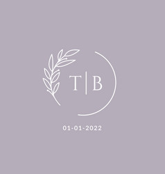 Initial Monogram Tb Wedding Logo With Decorative