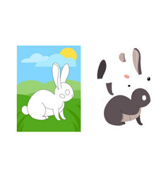 Animal Puzzle With Rabbit