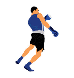 Boxer In Ring Direct Kick Sport Training Isolated