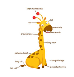 Giraffe Vocabulary Part Of Body