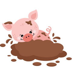 Funny Pig Playing In Mud