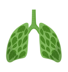 Cartoon Healthy Lungs Human Clean Lungs Green