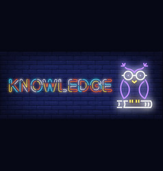 Knowledge Neon Text With Owl On Book