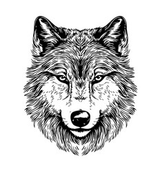 Wolf Head Sketch Hand Drawn In Doodle Style