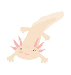 Cartoon Pink Axolotl