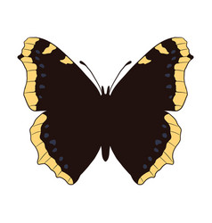 Drawing Mourning Cloak Butterfly