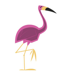 Flamingo Standing One Leg