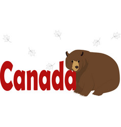 Word With Cute Bear Canada Day