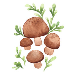 Shitake Mushroom With Fern Watercolor