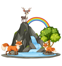 Animals Near A Waterfall With A Rainbow