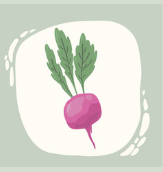 Radish Beetroot Flat Style Vegetable Hand Drawn