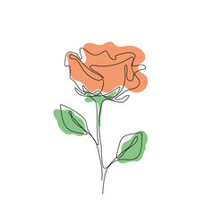 Pastel Orange Rose One Line Design