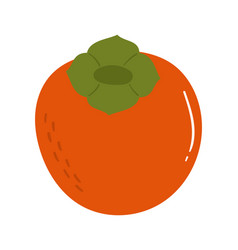 Fruit Persimmon In Cartoon Hand Drawn Simple