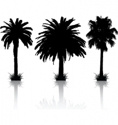 Palm trees design Royalty Free Vector Image - VectorStock