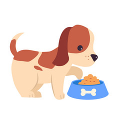 Cute Puppy Dog Eating From Bowl Adorable Pet