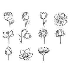 Flower Doodle Icon Set Drawing Sketch