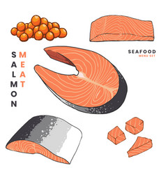 Salmon Meat For Element Design