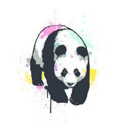 Giant Panda Walking Hand Drawn Graphic