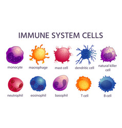 Immune System Cell Types Cartoon Macrophage