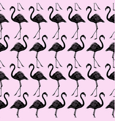 Light Pink Black Pattern Background