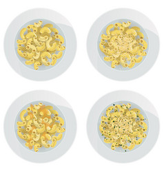 Set Of Top View Elbow Pasta