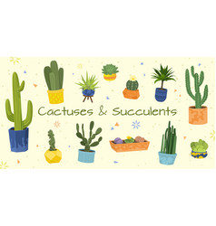 Cactuses Flat Composition Set