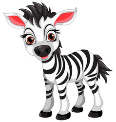 Cute Zebra Cartoon Animal Character