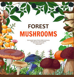 Forest Wild Mushroom Background