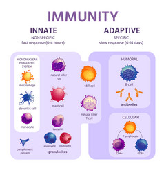 Innate And Adaptive Immune System Immunology