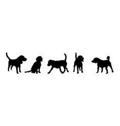 Set Of Silhouettes Dog Dog Training School