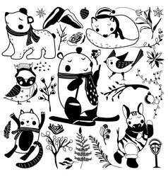 Black And White Magic Winter Animals Cute Bear