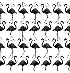 Black Flamingo Pattern Background