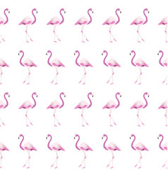 White Flamingo Pattern Background