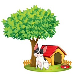 A Doghouse And Dog Under Tree