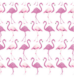 Flamingo Pink White Pattern Background