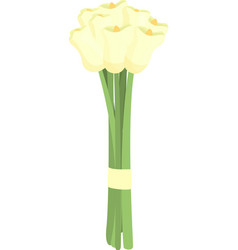 Calla Bouquet Icon Cartoon Lily Flower