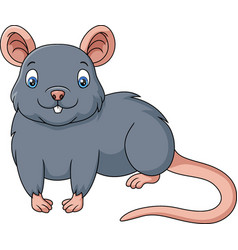 Cute Mouse Cartoon On White Background