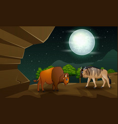 Cartoon A Bison And Wildebeest In The Cave